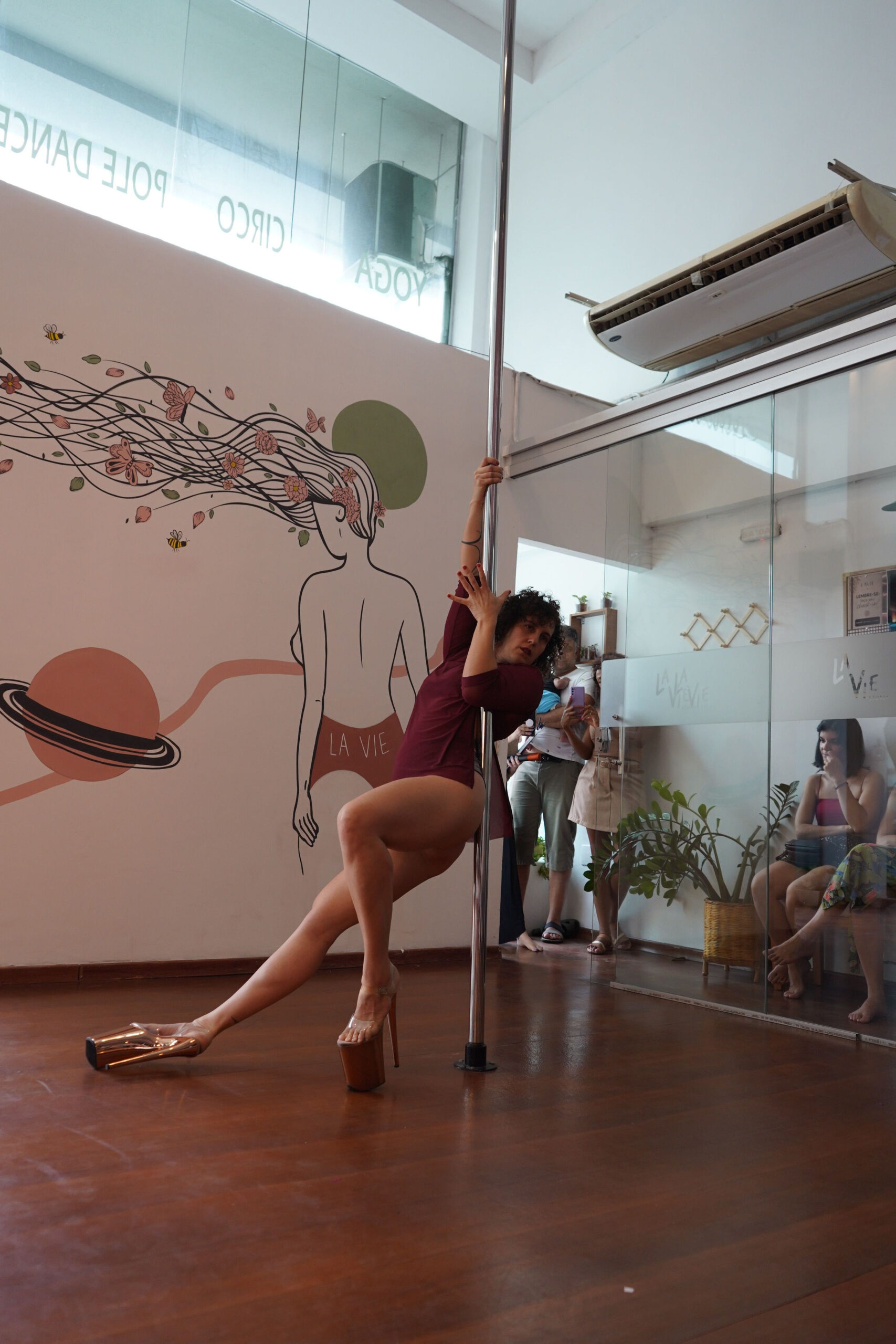 pole-dance-belo-horizonte-la-vie-studio (18)