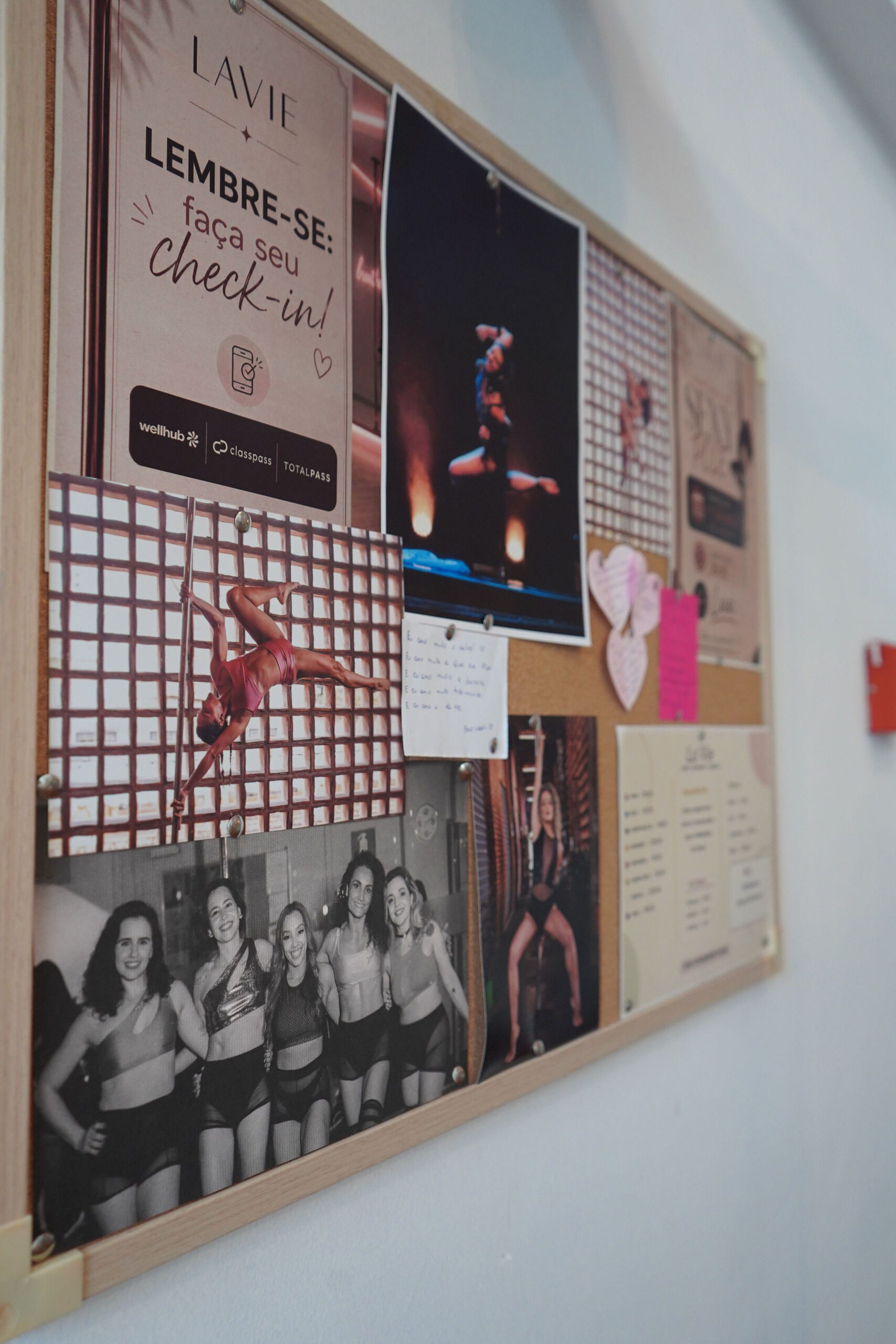 pole-dance-belo-horizonte-la-vie-studio (34)